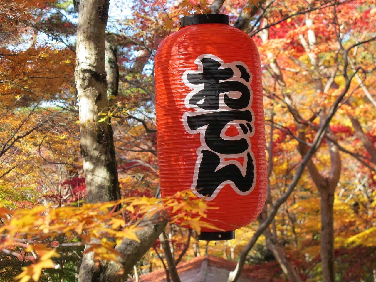 오뎅육수