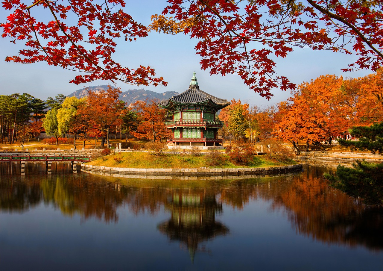 광화문 디타워 식당