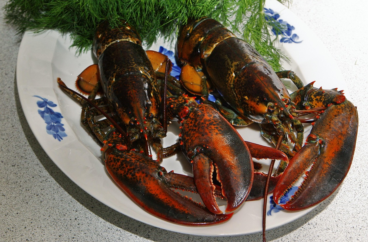 랍스터 맛집